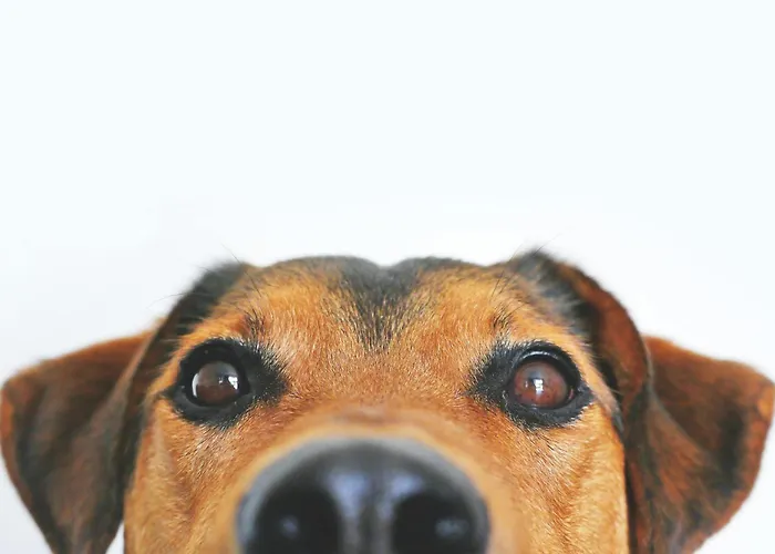 Hotel Garner - Ku'damm By Ihg 3*